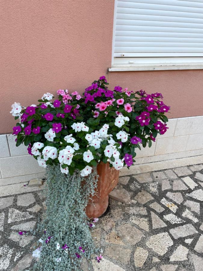Hotel Apartman Jukic Marina Exterior foto